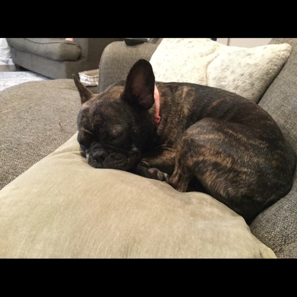 Meet your Posher, Sophia